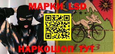 индика Бийск