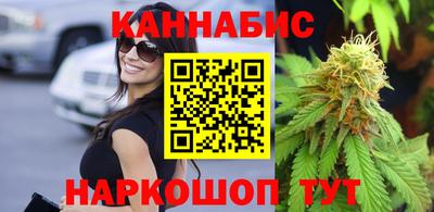 индика Бийск