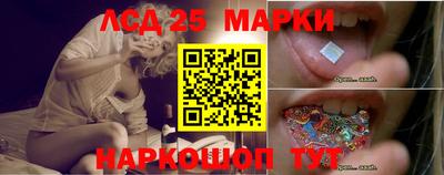 индика Бийск