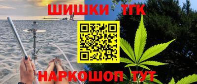 индика Бийск