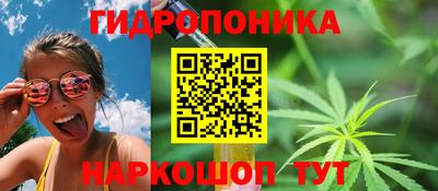 индика Бийск