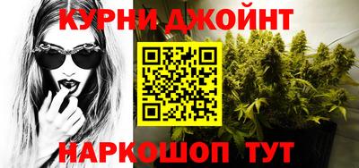 индика Бийск