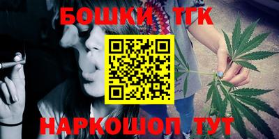 индика Бийск