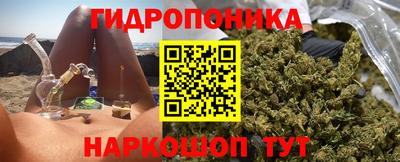 индика Бийск