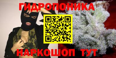 индика Бийск